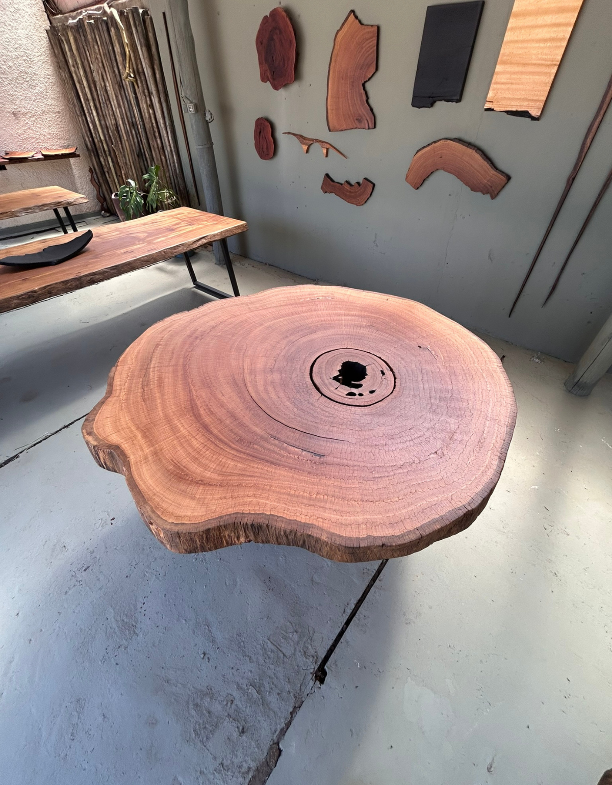 Mesa de Jantar Redonda Orgânica 6 lugares - Tronco de Madeira Maciça