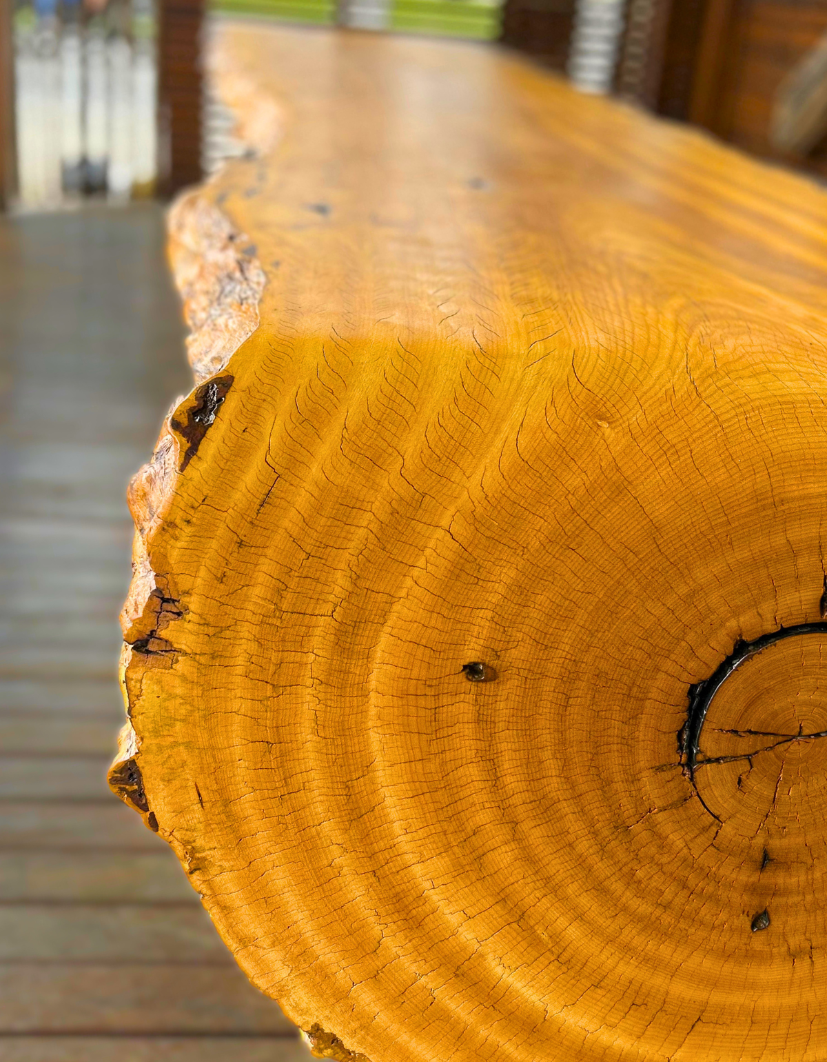 Mesa de Jantar Cascata 13 lugares - Madeira Pequiá Maciça Orgânica